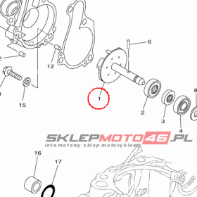 YAMAHA - WALEK POMPY WOD. nr: 1SM124500100