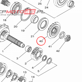YAMAHA - ZEBATKA nr: 1WS174600000