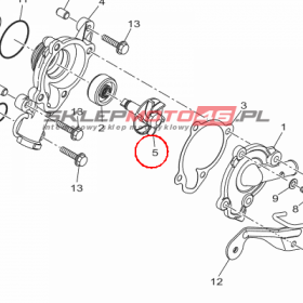 YAMAHA - WALEK POMPY WOD. nr: 2DPE24500000