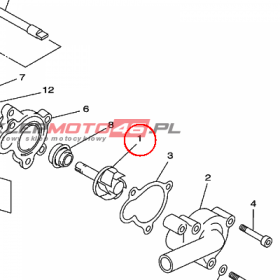 YAMAHA - WALEK POMPY WOD. nr: 5CG124500000