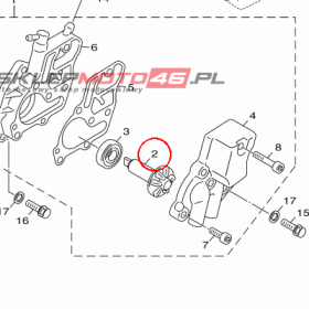 YAMAHA - WALEK POMPY WOD. nr: 5STE24500100
