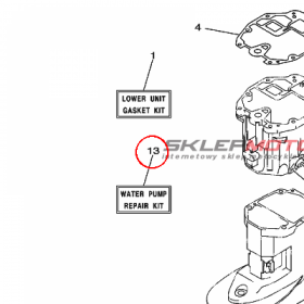 YAMAHA - ZESTAW NAPR. POMPY nr: 69GW00780000